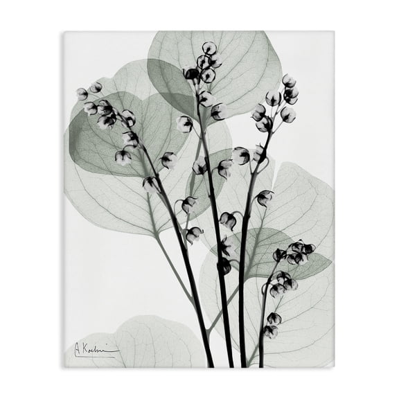 Stupell Industries Contemporary Fresh Minimalist Herbs Canvas Art, 16 x 20, by Albert Koetsier