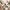 Red Mountain Pattern, variant on Yayeee Kitchen Curtains Set of 2 Light Filtering 57"x24" Over Sink Window Panels, Leaves Pattern
