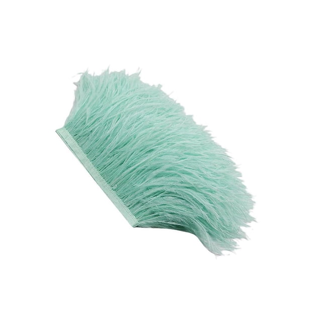 pitrice Ruban à Franges en Plumes d'Autruche Teint 1 Yard Vert Menthe