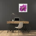thumbnail image 3 of Frank, Assaf 15x15 White Modern Wood Framed Museum Art Print Titled - AF20110714 Dahlia 107C16, 3 of 4