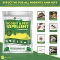 thumbnail image 3 of ADDOT Indoor Peppermint Rodent Repellent - 10 Pack, 30g Each, 3 of 7