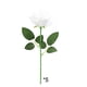 thumbnail image 2 of Plantas Artificiales De Plástico Paquete De 5 Ramos De Flores Artificiales Para Bodas En Casa, Flores Decorativas Multiusos De Plástico En Blanco, 48cm Rkxzt, 2 of 9