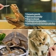 thumbnail image 4 of LuckyQworms Dried Freshwater Fish 1lb Protein-Rich Treats for Chickens Ducks Reptiles Natural Whole Fish Snack, 4 of 10
