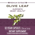 Nature's Way Premium Extract Olive Leaf Standardized to 12 Oleuropein