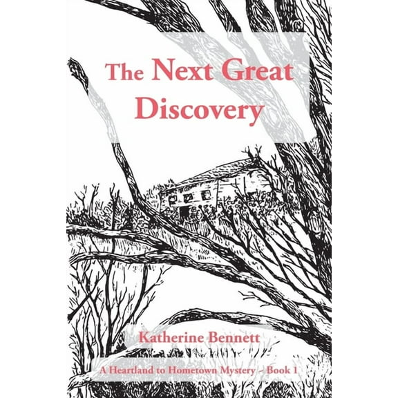 The Next Great Discovery, (Paperback)