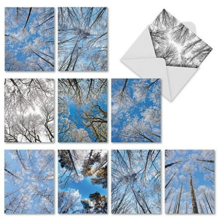'M10017XB SNOW TOPS' 10 Assorted All Occasions Cards Featuring Snowy Branches on Upward Reaching Tree Limbs with Envelopes by The Best Card