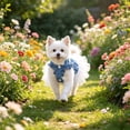thumbnail image 6 of Nkmbld Dog Dress Clothes Soft Breathable Puppy Outfits for Small Medium Dogs, Summer Puppy Dogs Princess Dresses with Bowknot for Birthday Party Wedding, 6 of 8