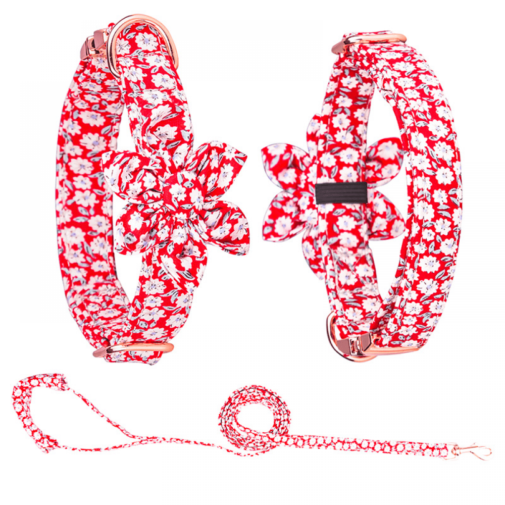 SAYTAY Girls Dog Collars and Leashes, Dog Collars with Detachable