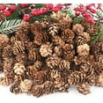 thumbnail image 2 of 30 piñas decorativas, piñas naturales a granel - Mini piñas, piñas navideñas para mesa, manualidades para árboles de Navidad, regalos, Acción de Gracias, otoño y Navidad, decoración del hogar, 2 of 5