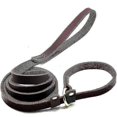 thumbnail image 3 of Real Leather Slip Lead Dog Leash, Adjustable Stitched Pet Slip Leads With Slider, Heavy Duty Flat Do, 3 of 3