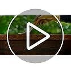 1 gal Ready Seal 120 Redwood Exterior Stain and Sealer For Wood