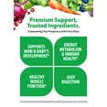 thumbnail image 4 of Prenatal Mini's Multivitamin Plus Superfoods & Probiotics | 180 Vegan Caplets | by Rainbow Light, 4 of 7