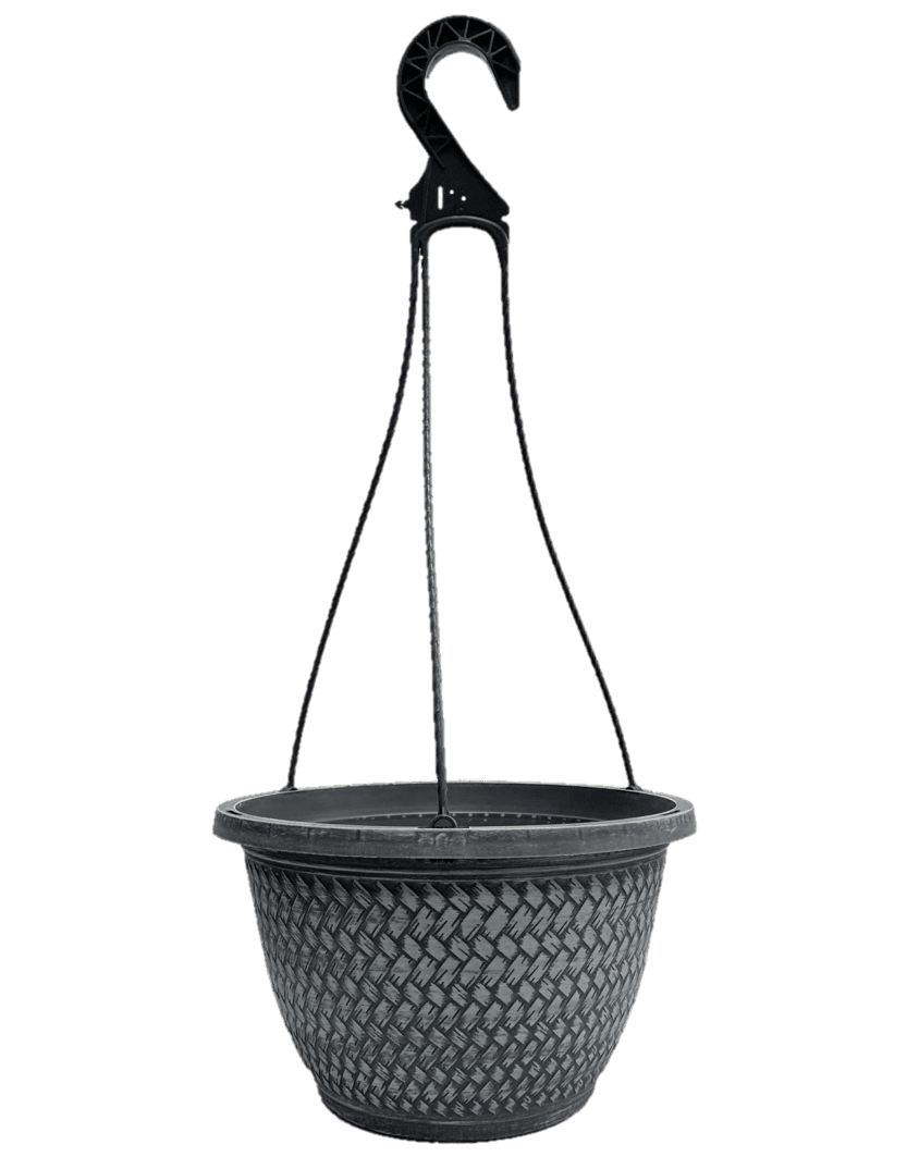 Better Homes & Gardens 2 Gallon Hanging Basket Multicolor Calibrichoa Combo Annual Flowers Live Plants Full Sun