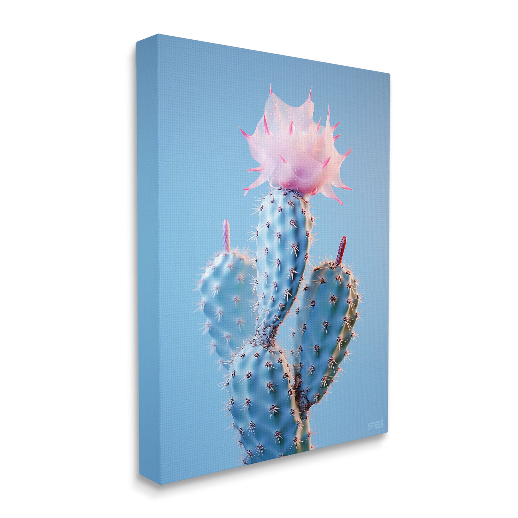Stupell Industries Pink Budding Cactus Flowers Botanical & Floral Painting Gallery Wrapped Canvas Art Print Wall Art, 36 x 48