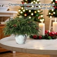 thumbnail image 5 of JIhuahe Christmas Norfolk Pine Branches with Battery-Operated LED Lights, Indoor Holiday Decor for Home and Tabletop, Festive Winter Decoration with Easy Power Setup, 5 of 8