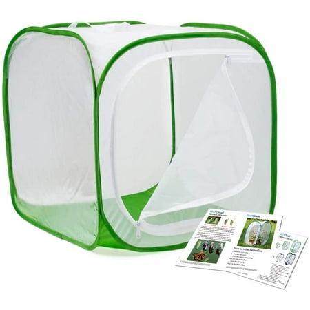 Big Cube Insect and Butterfly Habitat Cage Terrarium Pop-up 20 X 20 X ...