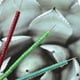 thumbnail image 4 of Cuentas de vidrio japonesas de 2,5 mm, 1000 unidades, espaciadoras redondas de colores para hacer joyas, accesorios de bordado francés DIY, 4 of 5