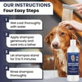 thumbnail image 4 of Premium 3-in-1 Sensitive Skin Dog Shampoo, Great for Allergies, Itching, Scratching, Anti-Itch with Oatmeal & Aloe, Made in USA, Itchy Coat Relief, Clean Ingredients, 16 oz [We Love Doodles], 4 of 6
