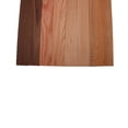 thumbnail image 3 of Domestic Exotic Variety Pack - Walnut, Coffee Nut, Grey Elm, Quarter Sawn Sycamore - 3/4" x 2" (8 Pcs), 3 of 3
