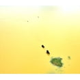 thumbnail image 2 of Mukherjee, Saikat 30x26 White Modern Wood Framed Museum Art Print Titled - Food Bank, 2 of 4
