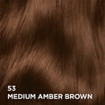 thumbnail image 3 of L'Oreal Paris Superior Preference Permanent Hair Color, Oil-in-Gel, Medium Amber Brown, 1 unit, 3 of 11