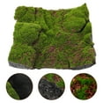 thumbnail image 3 of WEUVEB Moss Sheet Handmade Carpet Realistic Appearance Green 2Set, 3 of 8