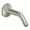 Nickel, variant on Moen Icon Chrome Shower Arm
