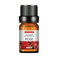 thumbnail image 1 of Dvkptbk Aromatherapy Plant Water Soluble Humidifier Car Aromatherapy Essentials Oialssoil 10Ml, 1 of 1