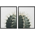 thumbnail image 1 of PixonSign Framed Wall Art Collage Print Gallery Set Spiky Green Succulent Halves Botanical Plants Photography Realism Modern Relax/Calm Multicolor for Living Room, Bedroom, Office - 12"x16"x2 BLACK, 1 of 6