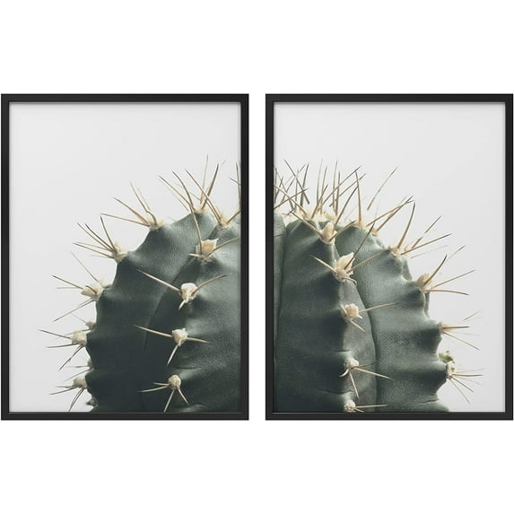 PixonSign Framed Wall Art Collage Print Gallery Set Spiky Green Succulent Halves Botanical Plants Photography Realism Modern Relax/Calm Multicolor for Living Room, Bedroom, Office - 12"x16"x2 BLACK