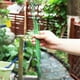 thumbnail image 4 of 30 Piezas de Estacas de Soporte para Plantas con 30 Piezas de Clips para Plantas Soporte Floral para Flores de JardíN Estaca de Soporte de un Solo Tallo, 4 of 5