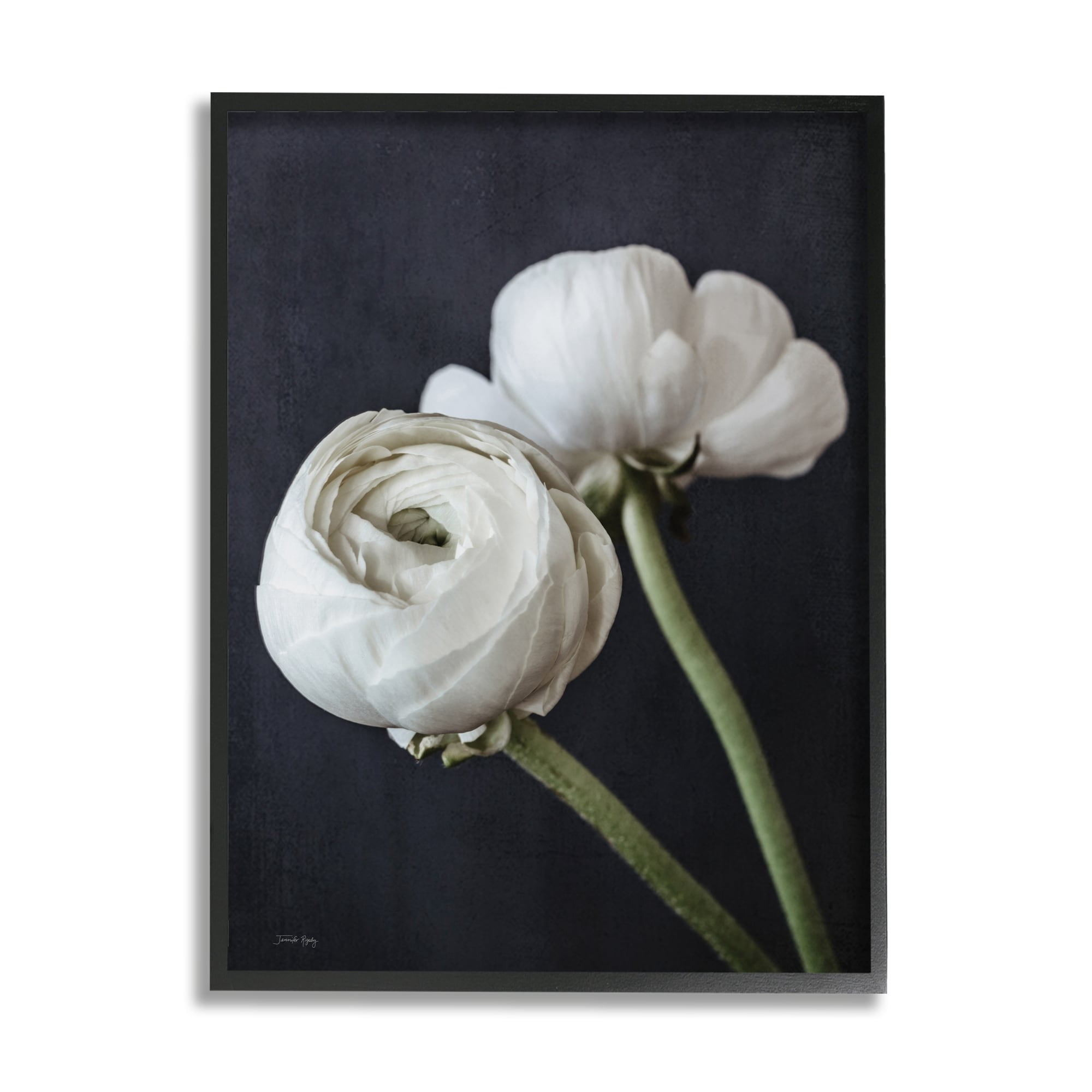 Stupell Industries Modern Ranunculus Flower Blossom Arrangement White Petals Photograph Black Framed Art Print Wall Art, Design by Jennifer Rigsby