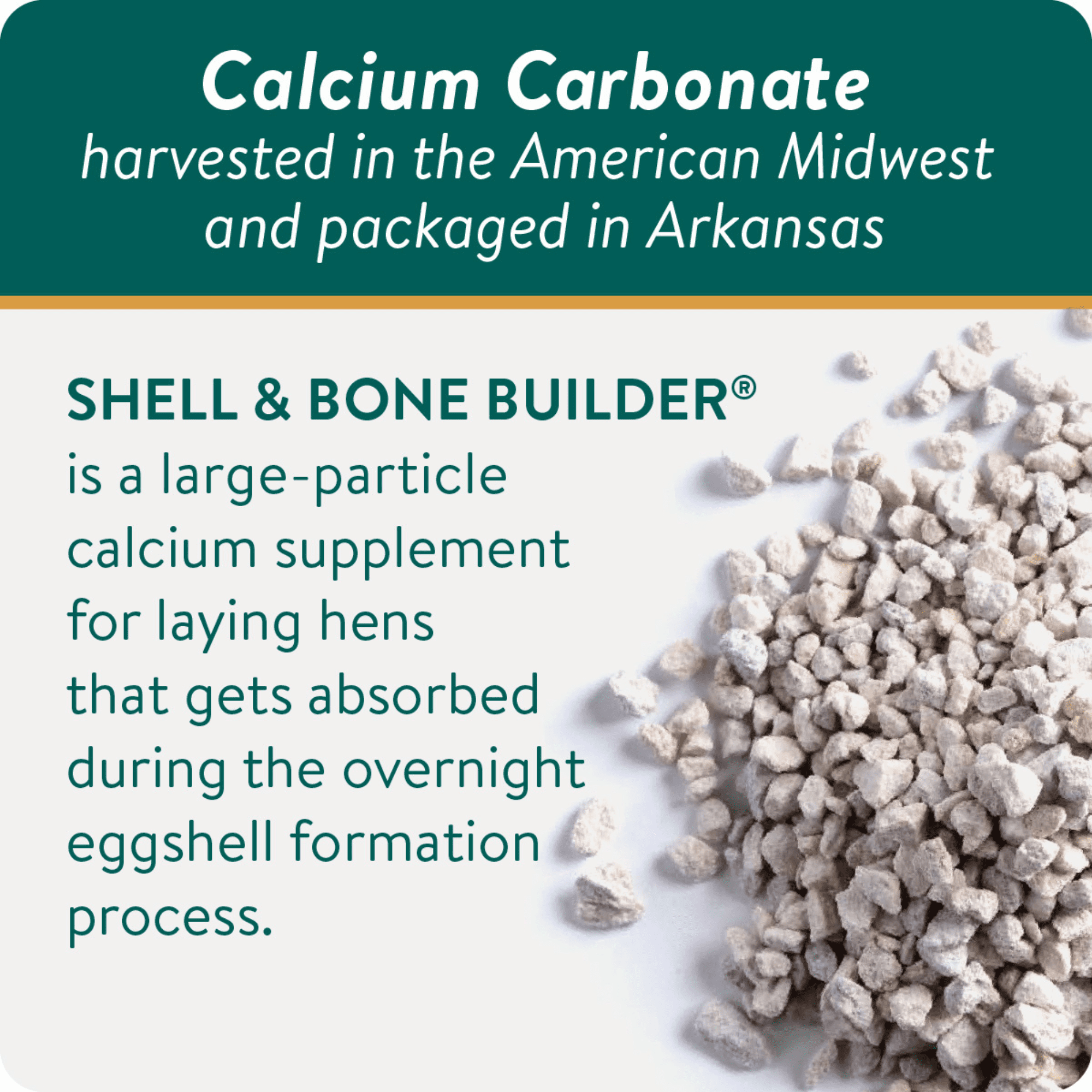 FlockLeader Shell & Bone Builder® for Chickens – All Natural Calcium Supplement for Laying Hens to Support Strong Eggshells and Bone Health, Poultry Mineral Feed for Chickens, 5 Pounds