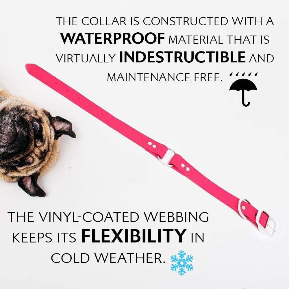 Regal Dog Products Waterproof Collar Heavy Duty Center Ring with D ring