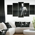 thumbnail image 1 of Isolated Black Horse on Black - Animal Canvas Art Print, 1 of 3