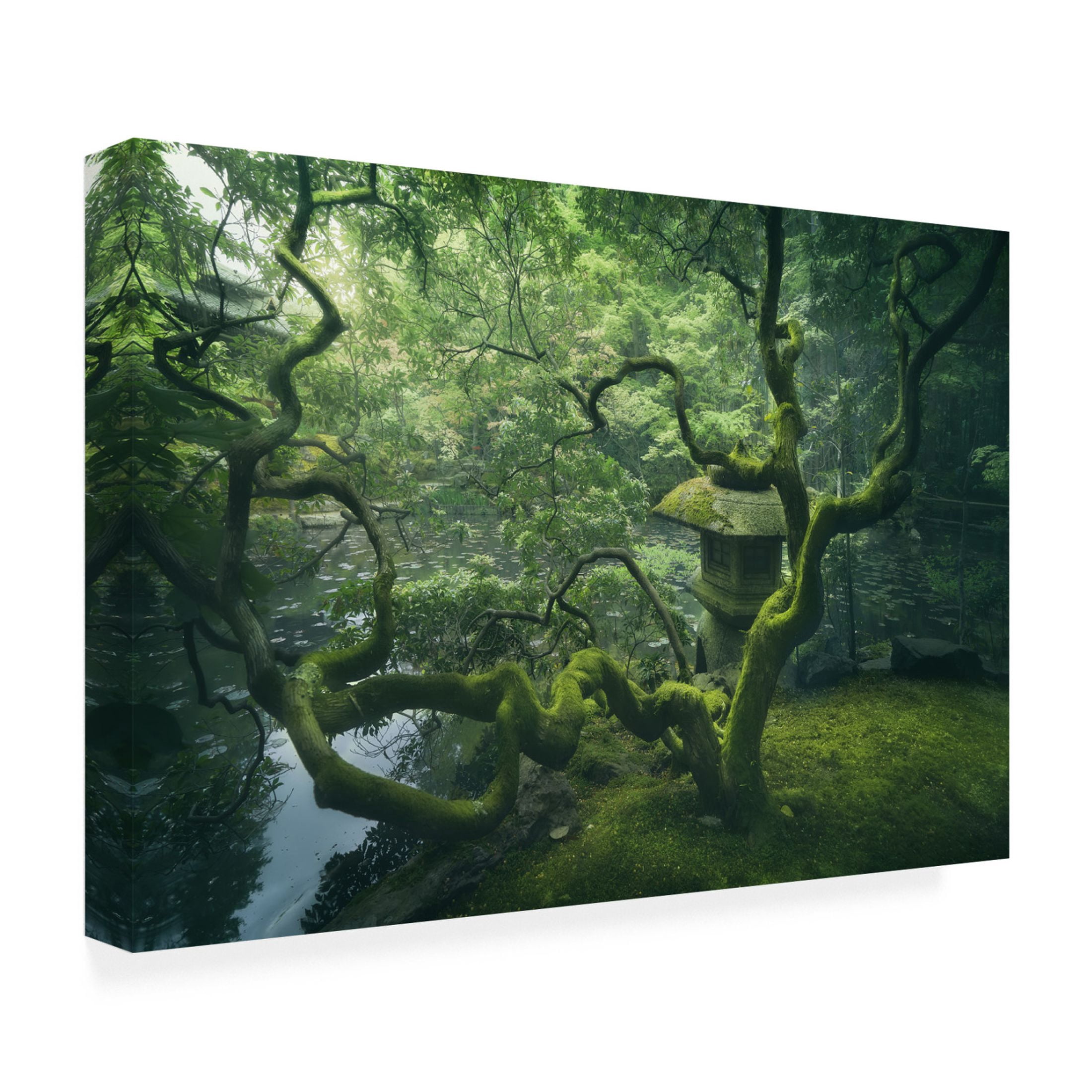 Canvas Wall Art - Javier De La 'Japanese Tree' Wall Art for Living Room, Bedroom, or Office Décor by Trademark Fine Art - 19 x 12 Inches