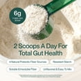 thumbnail image 3 of Supergut Foundational Daily Fiber Unflavored Prebiotic Fiber Blend for Gut & Digestive Health, 5.5 oz, 20 Servings, 3 of 9