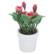 thumbnail image 5 of Plantas para casa de muñecas, ramos para casa de muñecas 1:12 Miniatura vívida Bonsái Planta en maceta en miniatura Integración perfecta, 5 of 14
