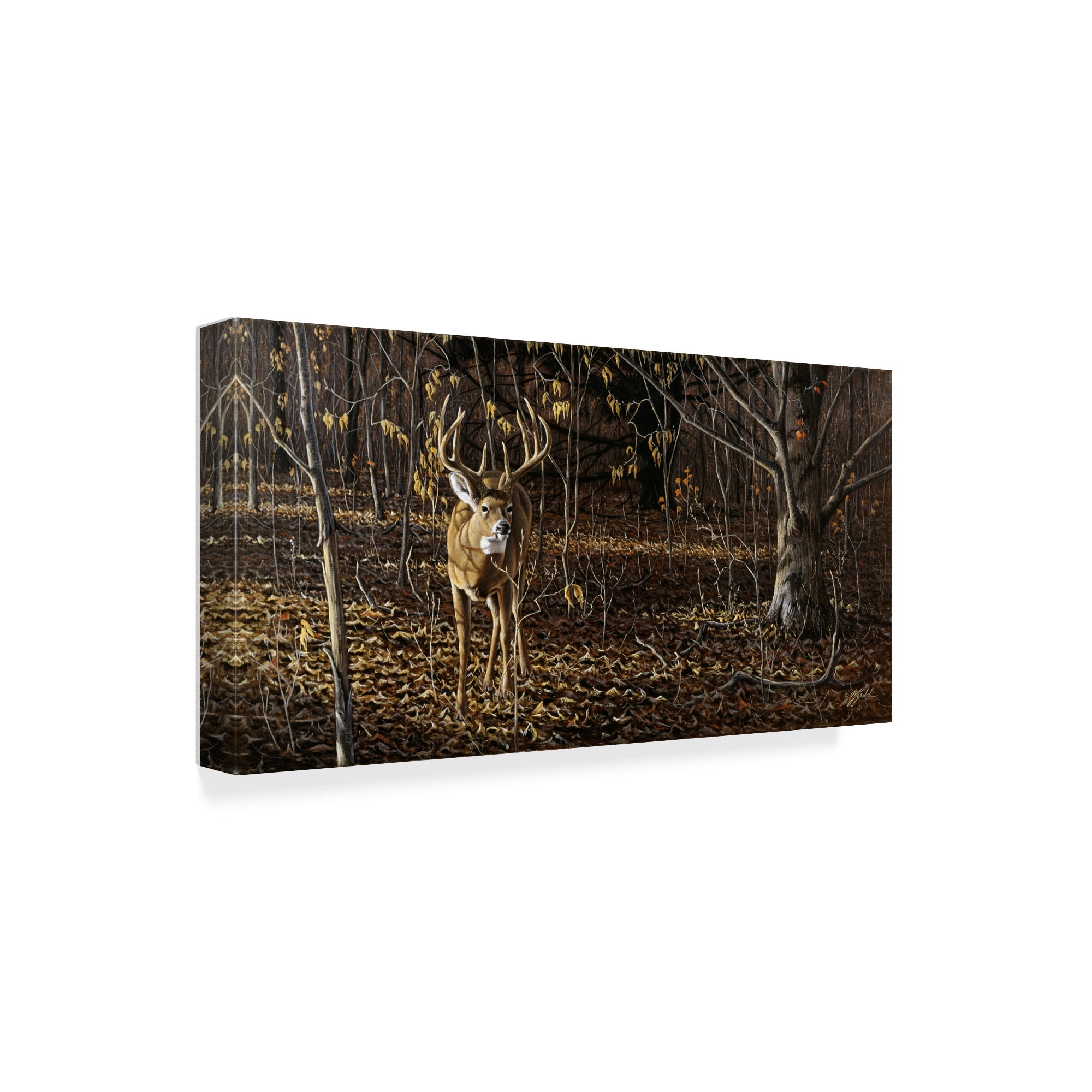Trademark Fine Art 'Sneaking Through Whitetail' Canvas Art by Wilhelm Goebel