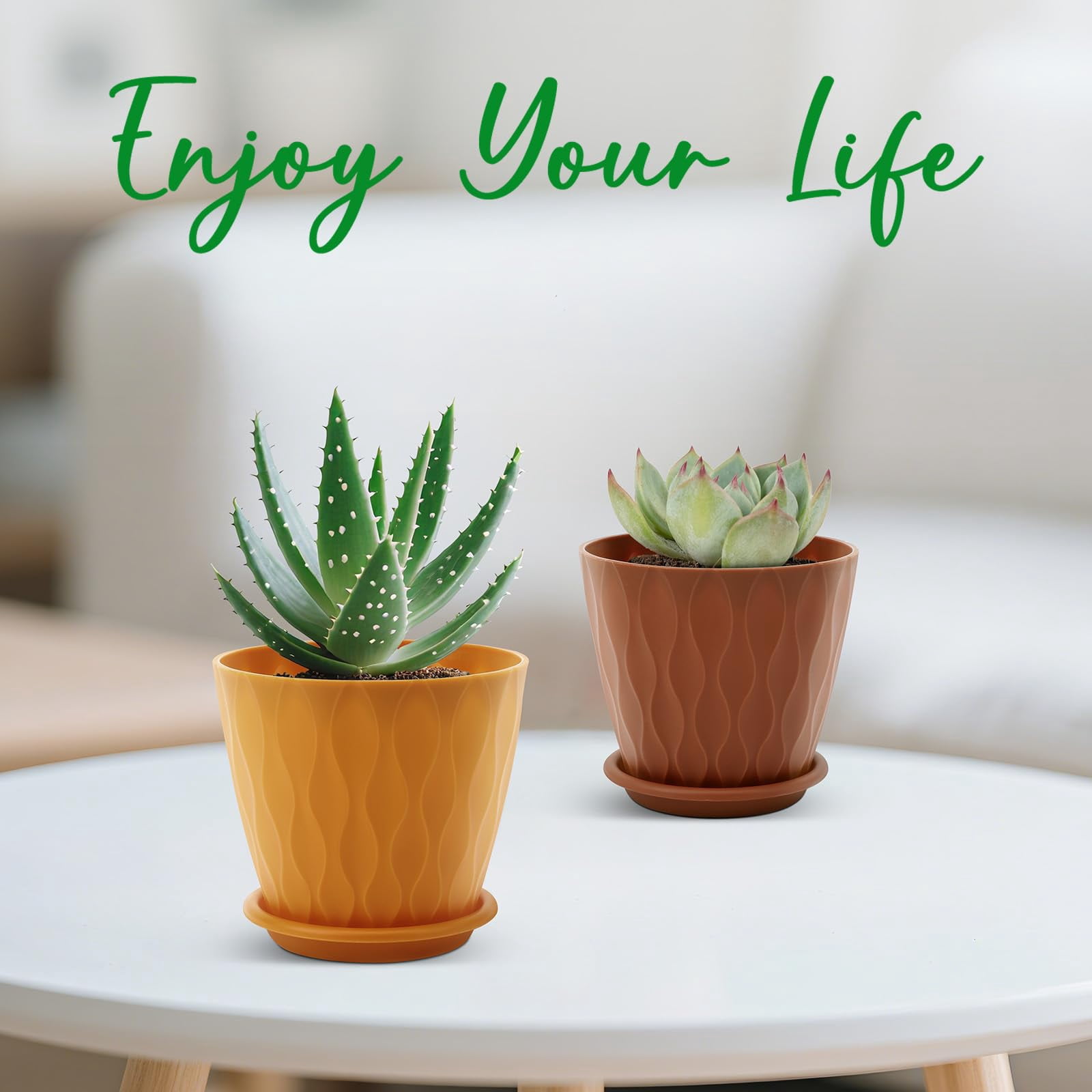 Plant Pots