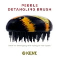thumbnail image 4 of Kent PB Pebble Scalp Massager Shampoo Brush, Shower Brush, and Travel Size Brush, 4 of 28