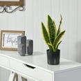 thumbnail image 3 of Nearly Natural 14in. Sansevieria Plastic Artificial Plant, Green, 3 of 4