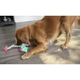 thumbnail image 5 of goDog Dragon with Chew Guard Technology Plush Squeaker Dog Toy for Tough Play, Blue Large, 5 of 9