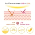 thumbnail image 3 of Protector solar en barra Elizavecca Milky Piggy Great Block SPF 50+, 3 of 6