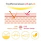 thumbnail image 3 of Protector solar en barra Elizavecca Milky Piggy Great Block SPF 50+, 3 of 6