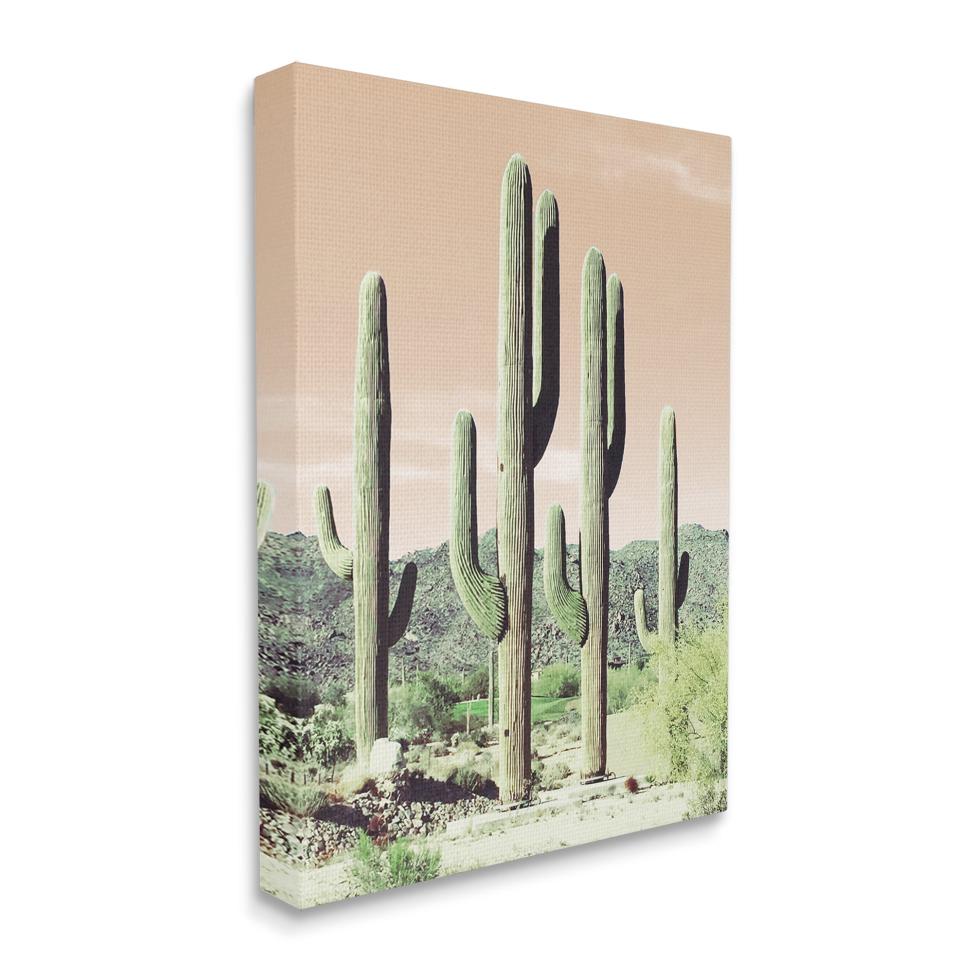 Stupell Industries Towering Cactus Plants Arid Desert Vegetation Nature Photograph Gallery Wrapped Canvas Print Wall Art, Design by Susan Bryant