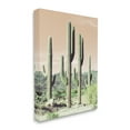 thumbnail image 3 of Stupell Industries Towering Cactus Plants Arid Desert Vegetation Nature Photograph Gallery Wrapped Canvas Print Wall Art, Design by Susan Bryant, 3 of 7