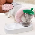 thumbnail image 3 of ORUYROP Adjustable Cat Cone Collar Soft, Cute Cat Recovery Collar, Cat Cones After Surgery for Kittens, 3 of 6