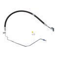 thumbnail image 2 of Omega 55172 Power Steering Hose, 2 of 2