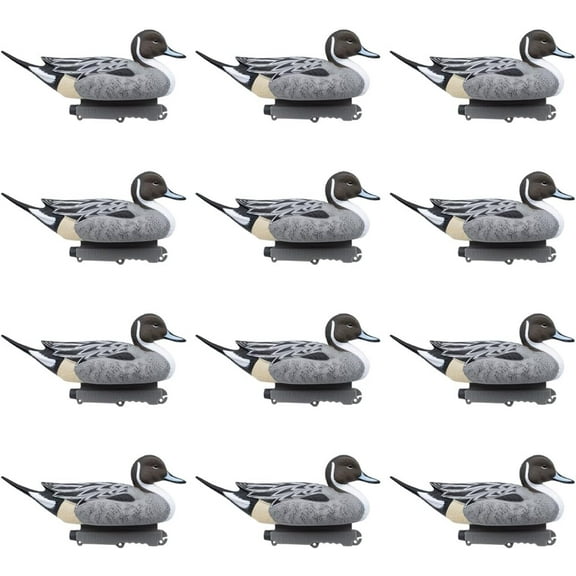 Final Approach Last Pass Floating Pintail Decoy, 12 Pack